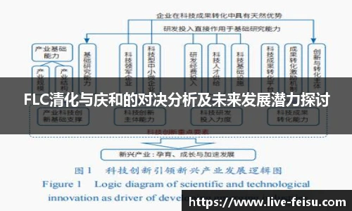 FLC清化与庆和的对决分析及未来发展潜力探讨